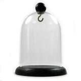 Pocket Watch Display Dome Height 120mm x 90mm (4.72