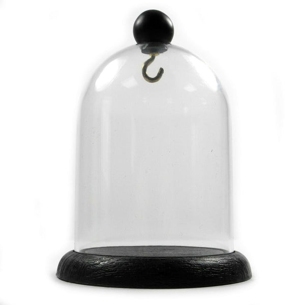 Pocket Watch Display Dome Height 120mm x 90mm (4.72" x 3.54")