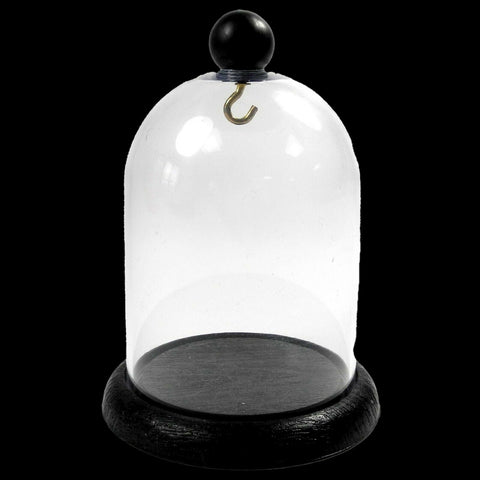 Pocket Watch Display Dome Height 120mm x 90mm (4.72" x 3.54")